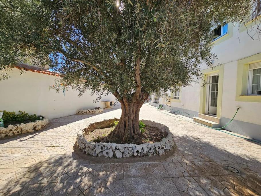La Casa Del Arbol Villa Fuentiduena de Tajo Bagian luar foto